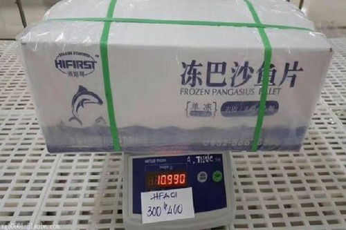 天津港進口冷凍蝦門到門清關服務公司